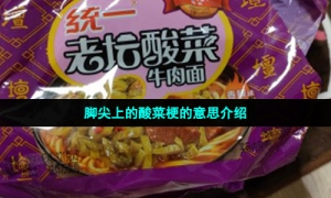 脚尖上的酸菜梗的意思介绍