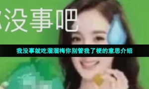 我没事就吃溜溜梅你别管我了梗的意思介绍