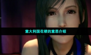 意大利国花梗的意思介绍