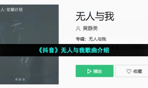 《抖音》无人与我歌曲介绍