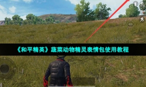 《和平精英》蔬菜动物精灵表情包使用教程