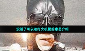 没活了可以咬打火机梗的意思介绍