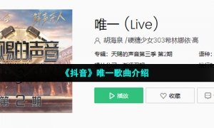 《抖音》唯一歌曲介绍