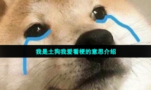 我是土狗我爱看梗的意思介绍