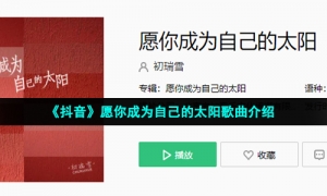 《抖音》愿你成为自己的太阳歌曲介绍
