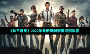 《和平精英》2022年最新限制消费取消教程