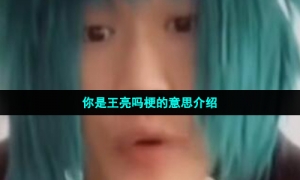 你是王亮吗梗的意思介绍