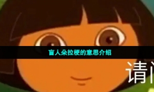 朵拉是瞎子梗的意思介绍