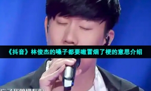 《抖音》林俊杰的嗓子都要嗷冒烟了梗的意思介绍