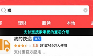 支付宝搜索喂梗的意思介绍
