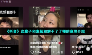 《抖音》这辈子和素颜和解不了了梗的意思介绍