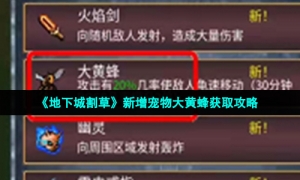 《地下城割草》新增宠物大黄蜂获取攻略