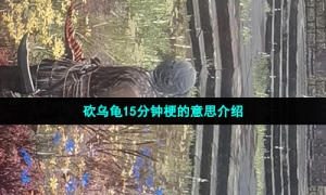 砍乌龟15分钟梗的意思介绍