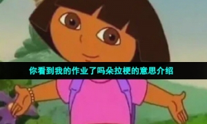 你看到我的作业了吗朵拉梗的意思介绍