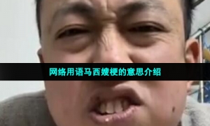 网络用语马西嫂梗的意思介绍