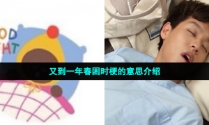 又到一年春困时梗的意思介绍
