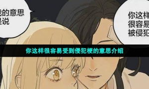 你这样很容易受到侵犯梗的意思介绍