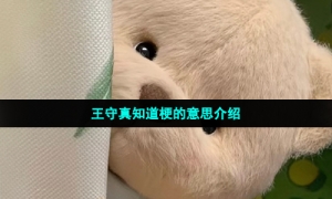 王守真知道梗的意思介绍