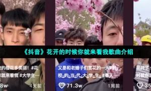 《抖音》花开的时候你就来看我歌曲介绍