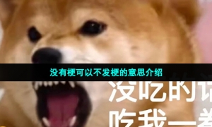 没有梗可以不发梗的意思介绍