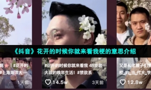 《抖音》花开的时候你就来看我梗的意思介绍
