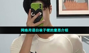 网络用语白袜子梗的意思介绍