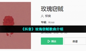 《抖音》玫瑰窃贼歌曲介绍