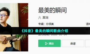 《抖音》最美的瞬间歌曲介绍