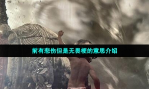 前有悲伤但是无畏梗的意思介绍