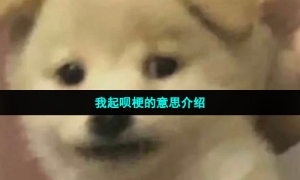 我起呗梗的意思介绍