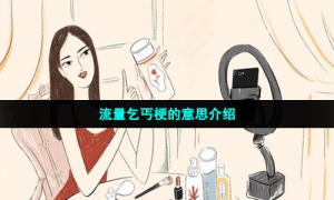 流量乞丐梗的意思介绍