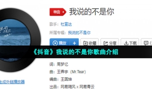 《抖音》我说的不是你歌曲介绍