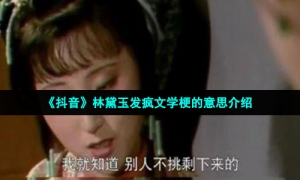 《抖音》林黛玉发疯文学梗的意思介绍