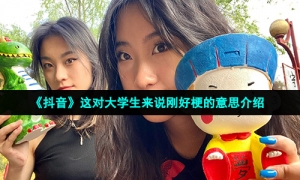 《抖音》这对大学生来说刚好梗的意思介绍