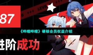 《哔哩哔哩》硬核会员权益介绍