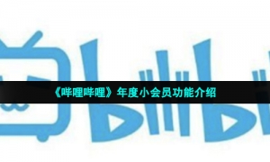 《哔哩哔哩》年度小会员功能介绍