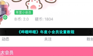 《哔哩哔哩》年度小会员设置教程