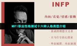 MBTI职业性格测试十六种人格类型介绍