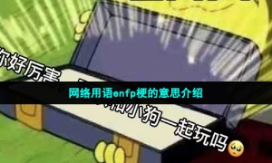 网络用语enfp梗的意思介绍