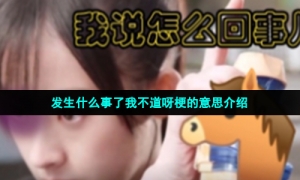 发生什么事了我不道呀梗的意思介绍