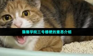 猫德学院三号楼梗的意思介绍