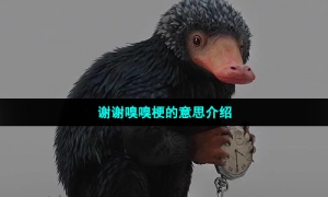 谢谢嗅嗅梗的意思介绍