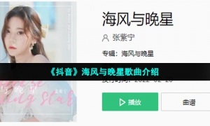 《抖音》海风与晚星歌曲介绍