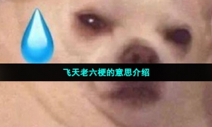飞天老六梗的意思介绍