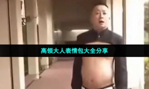 高领大人表情包大全分享