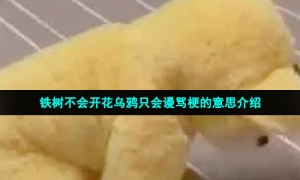 铁树不会开花乌鸦只会谩骂梗的意思介绍