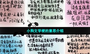 小狗文学梗的意思介绍