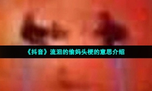 《抖音》流泪的偷妈头梗的意思介绍