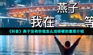 《抖音》燕子没有你我怎么活呀梗的意思介绍