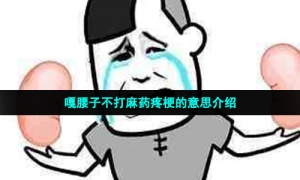 嘎腰子不打麻药疼梗的意思介绍